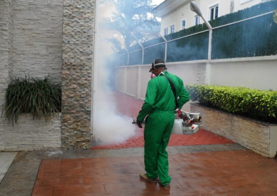 fumigation-5