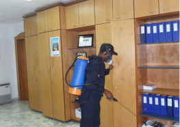 fumigation-services